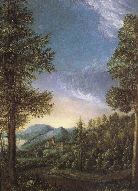Albrecht Altdorfer View from Danube oil painting picture
